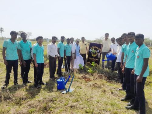 World Environment Day. Sapling plantation (25 -26)