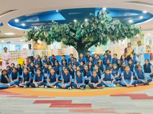 VI & IX Tour (25-26)